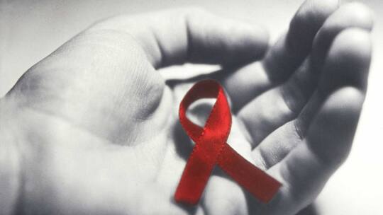 Das Wichtigste im Überblick