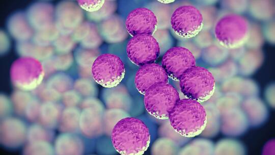 Wenn Antibiotika nicht mehr wirken