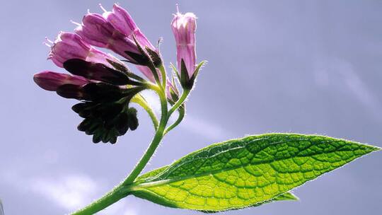 Schmerzfrei? Aber natürlich!