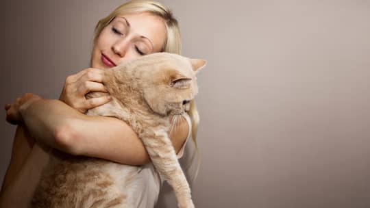 Die Katze und die Singlefrau