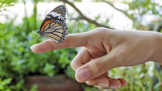 Statt Chemie die Mittel der Natur
