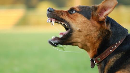 Mythen und Wahrheiten