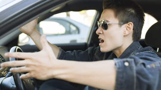 Pflichtstoff für Besserwisser