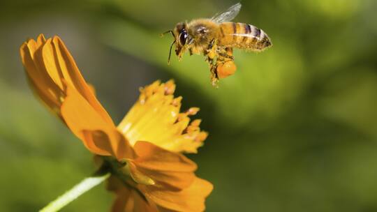 Buntes Treiben rund ums Haus