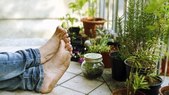 Wie Balkonpflanzen gedeihen