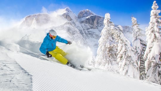 Skivignette obligatorisch