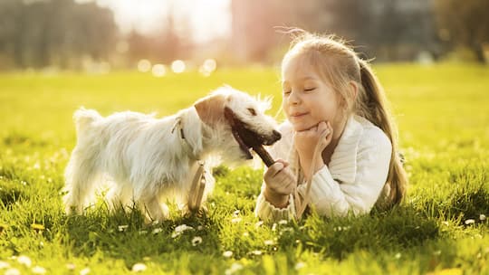«Ich will ein Hündli!»