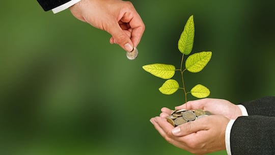 Grüne Anlageinstrumente