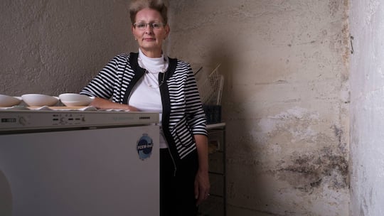 Schimmel in der Wohnung