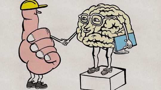 Was taugt die Lehre?