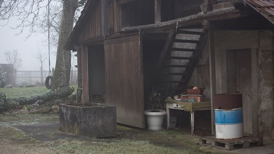 Das Dorf und der Guru