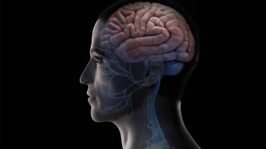 «Wir wollen etwas Messbares»