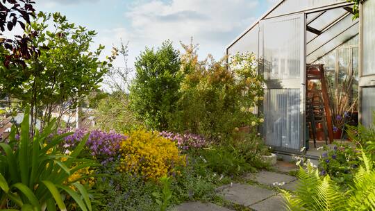 Die Oase im 5. Stock