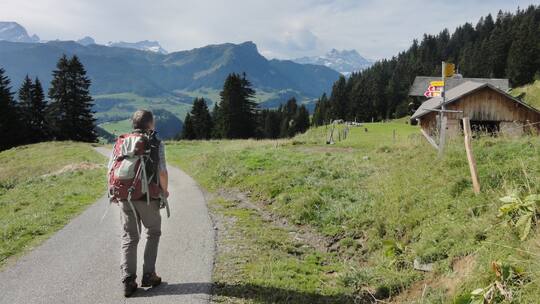 Über Stock und Asphalt