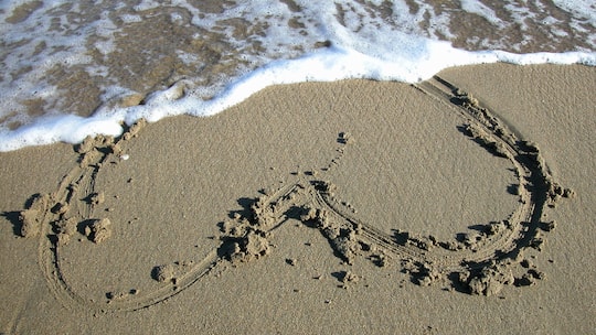 «Mit dem Falschen zusammen?»