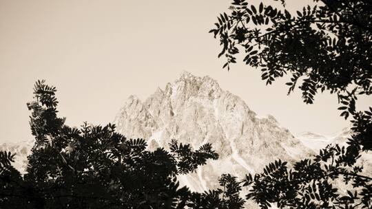 Darf ich als ausgewanderter Bündner noch mitbestimmen?