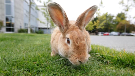 Ich darf draussen bleiben