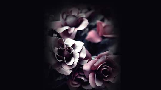 «Angehörige können nicht mitentscheiden»