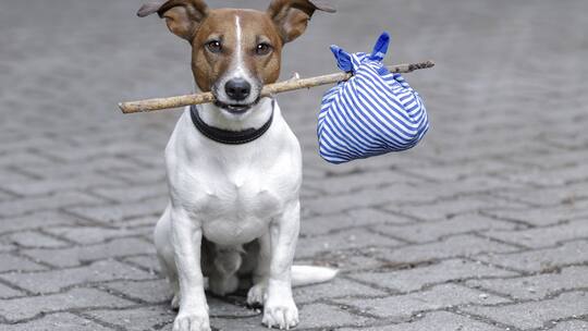 Ich bin dann mal weg