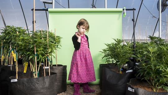 Wundermittel E-Cannabis?