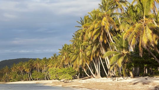 Verwaltungsräte sollen in Haft