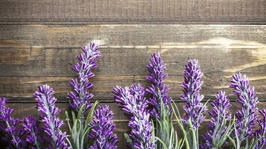 Kräuter gegen Schlafbeschwerden