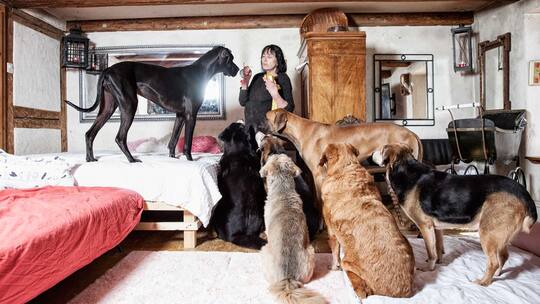 Frau Spoerlé und ihre Tiere