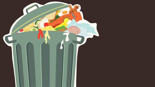 Im Müll statt im Magen