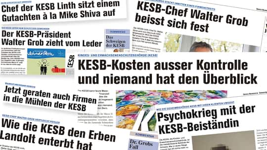 Kesb-Bashing: Es reicht!