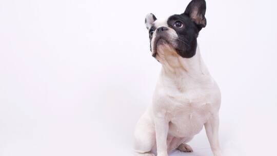 Sofies Versicherung gekündigt