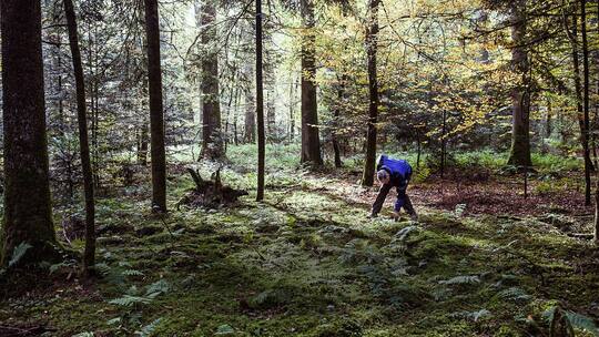 Wer richtig sucht, der findet