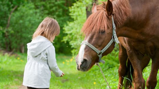 Ist hartes Brot ungesund?