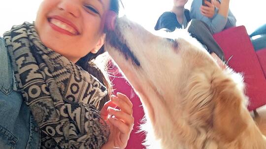 Wie weiter, wenn das geliebte Tier stirbt?