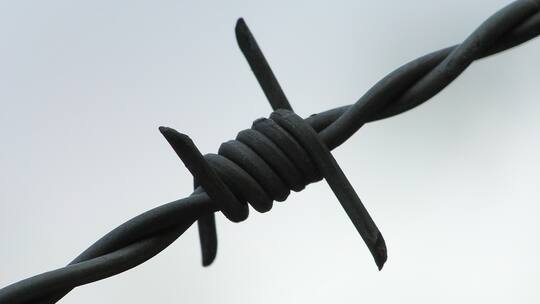 Das Polenlager auf der Aareinsel