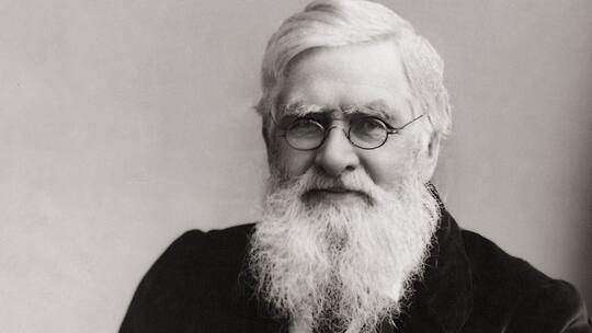 Heller Kopf in Darwins Schatten