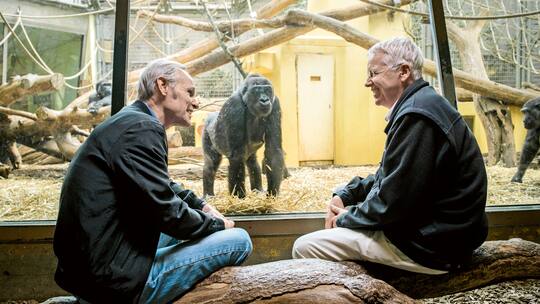 Dürfen wir Menschenaffen einsperren?