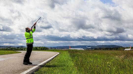 Grosse Vögel, kleine Vögel
