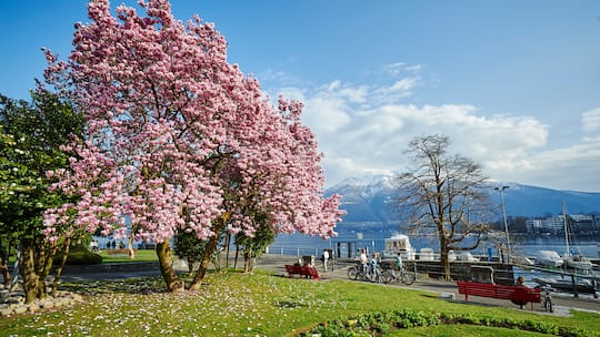 Mit Schwung durchs Tessin