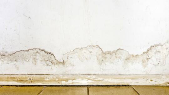 Flooding rainwater or floor heating systems, causing damage, peeling paint and mildew. - image