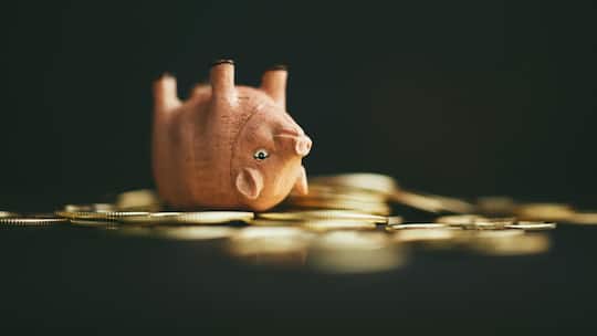 Schwein auf Geld