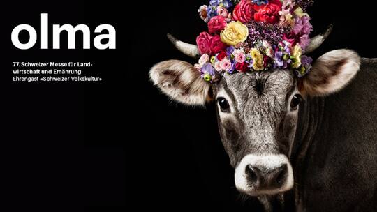 Das Sujet der OLMA 2019