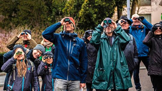 Urban Birding: Städter beobachten Vögel