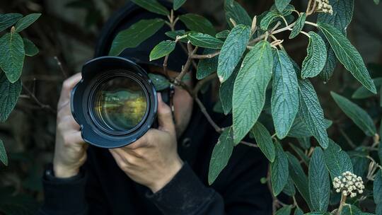 Gut getarnter Detektiv im Grünen
