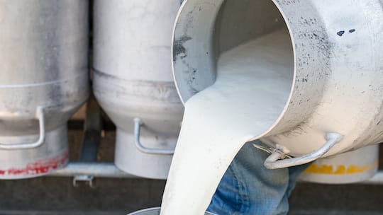 Ricotta mit Rauchnote