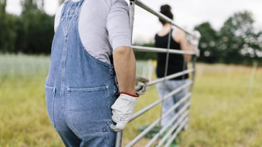 Zwei Personen bei der Landarbeit - Auch mit einer vollen Invalidenrente hat ein junger Mann ein Recht auf eine berufliche Ausbildung. Die IV-Stelle muss ihm die praktische Ausbildung zum Hofmitarbeiter finanzieren – selbst wenn seine Rente dadurch nicht sinkt