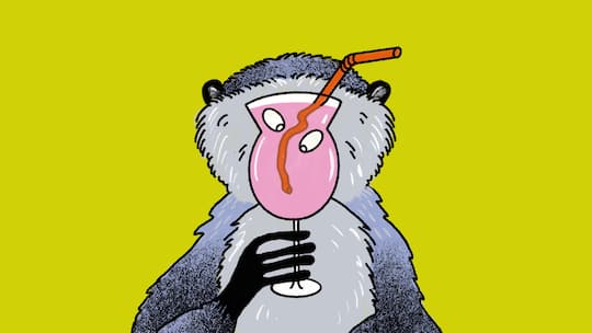 Illustration zum Thema Verbotene Früchte Schlusspunkt_Alkohol 23/25