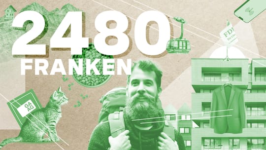 Illustration Collage Abrechnung, Folge 46: Steueroptimierer und Unternehmer