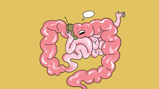 Illustration Darm beschwert sich von Rina Jost, illustriert für den Beobachter im Juni 2026. Beobachter Nachlese 13/2026 Bitte nicht in meinem Darm! Mario Güdel