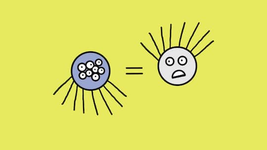 Beobachter 07/2026
Illustration Schlusspunkt Spinne
Illustration: Rina Jost