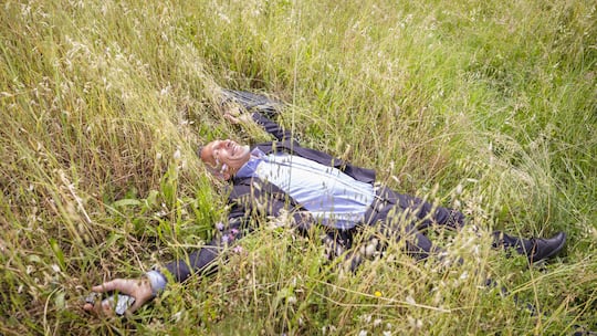 Senior business man laying in the middle of long grass field; Florence, Italy